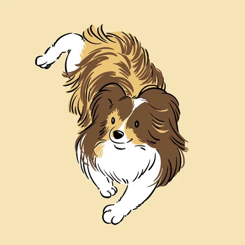 パピヨン（犬）のイラスト
